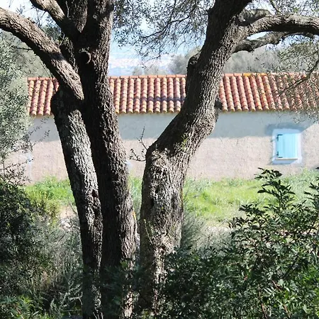 Stazzo Gallurese Vista Mare * Olbia
